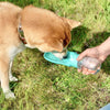 Water Bottle for Dogs - Portable Dog Water Bottle