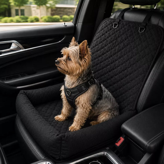How to Keep Dogs Calm During Car Rides (Even Anxious Dogs)