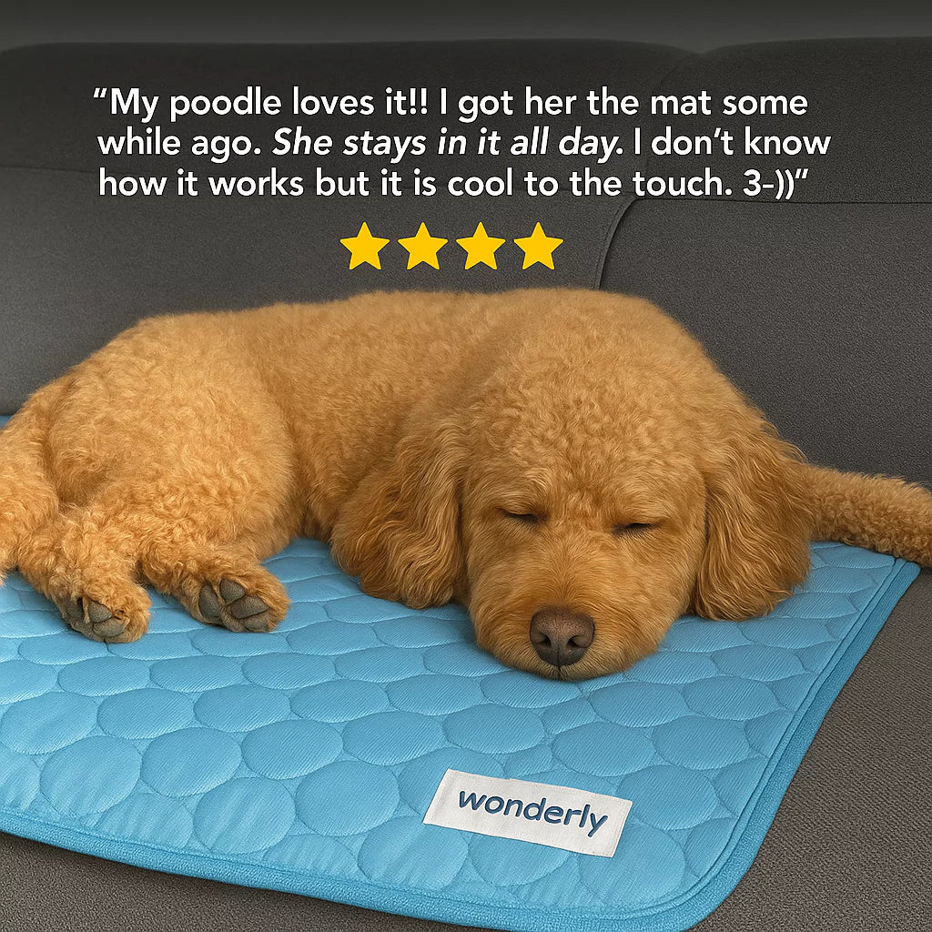 Dog Cooling Mat – Pressure-Activated Cooling Pad for Dogs of All Sizes