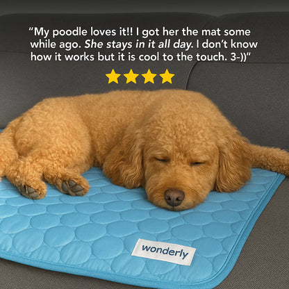 Dog Cooling Mat – Pressure-Activated Cooling Pad for Dogs of All Sizes