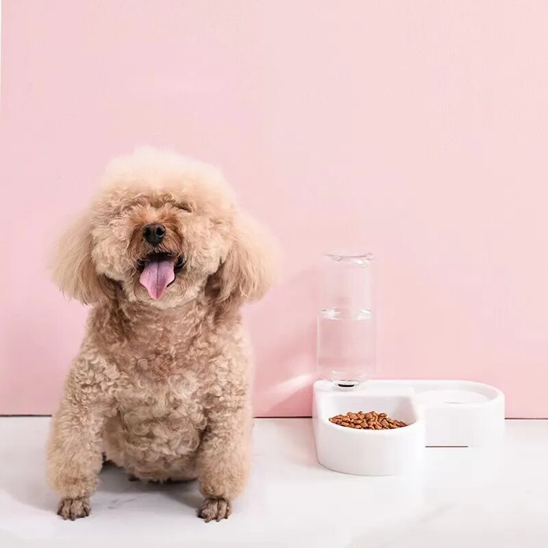 Automatic Food and Water Dispenser for Dogs