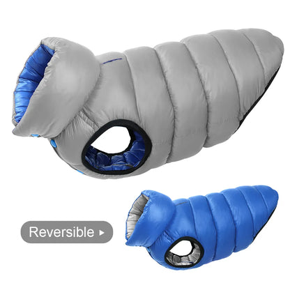 43821693796490|43821693829258|43821693862026|43821693894794|43821693927562|43821693960330|43821693993098