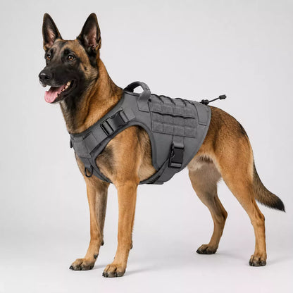 Tactical dog harness with hook-and-loop patch panel and MOLLE webbing for accessories
