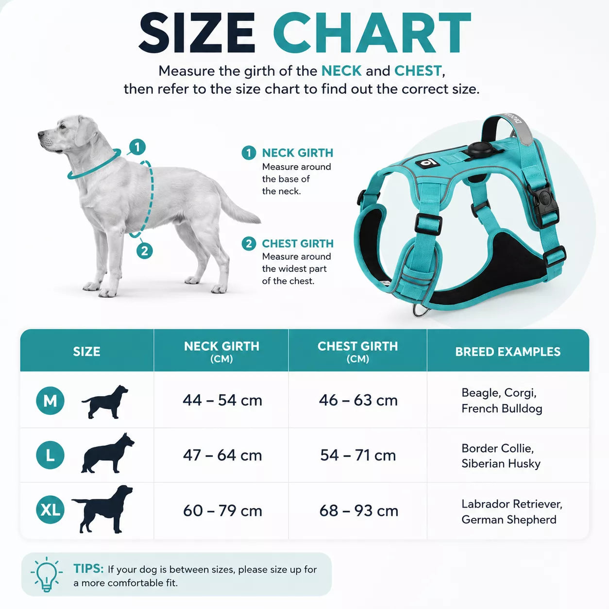 Size chart for the AirTag dog harness showing recommended measurements and sizing