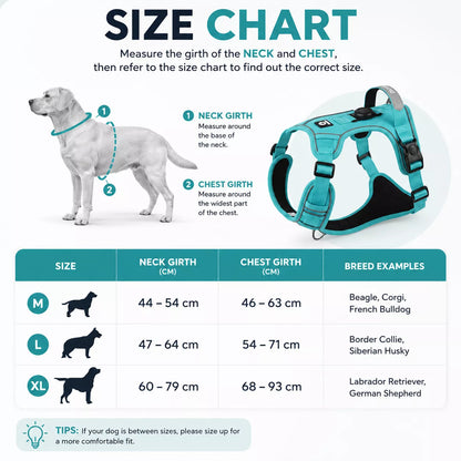 Size chart for the AirTag dog harness showing recommended measurements and sizing