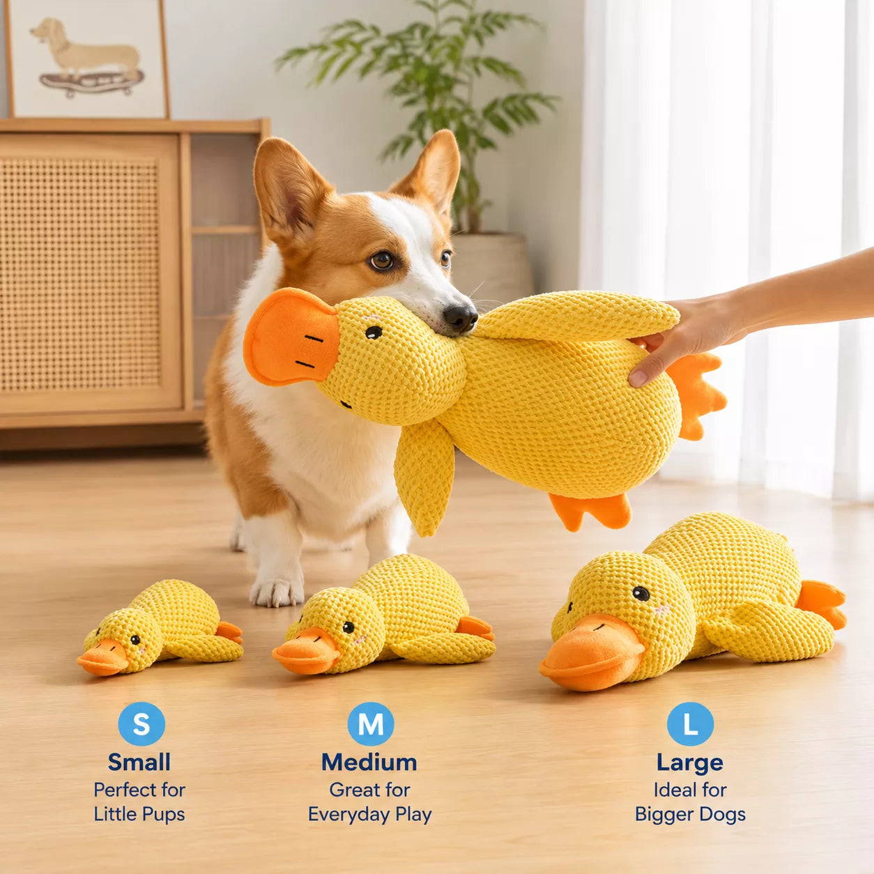 Duck Toy for Dogs - Quacking Plush Duck Dog Toy