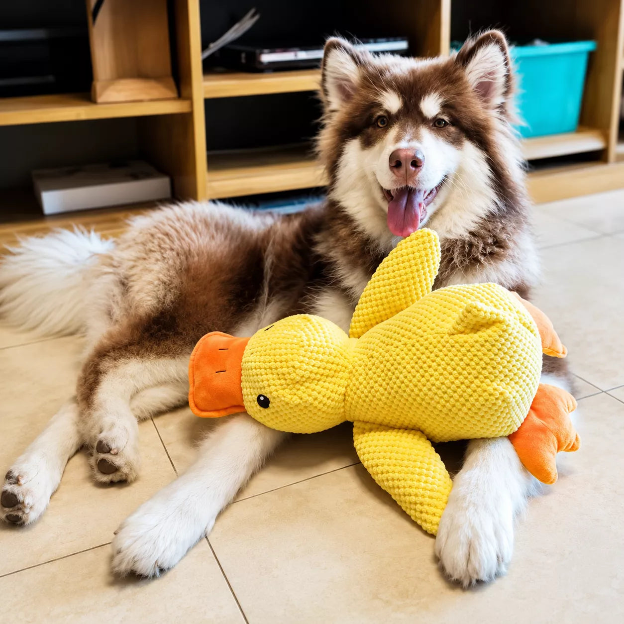 Duck Toy for Dogs - Quacking Plush Duck Dog Toy