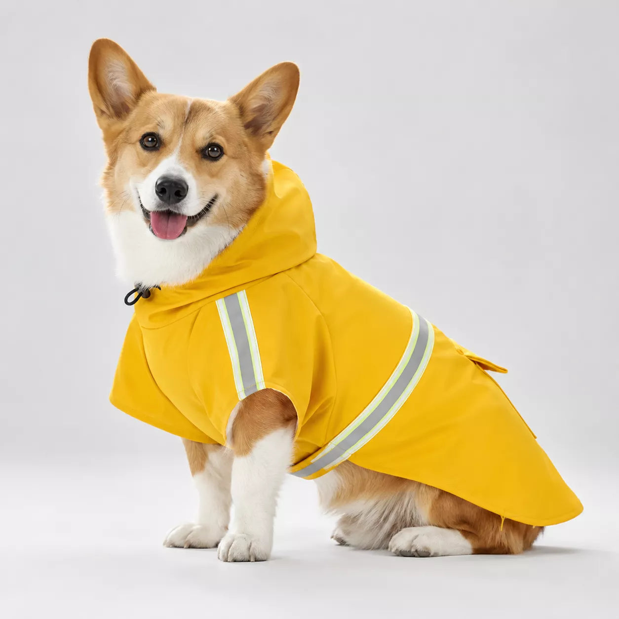 A corgi dog wearing a bright yellow pet raincoat with reflective silver stripes, photographed against a seamless light gray studio background.