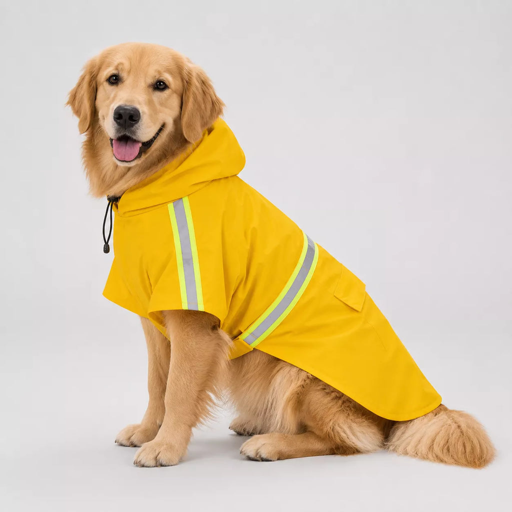 Dog wearing a yellow waterproof dog raincoat with adjustable hood and reflective strips shown on white background