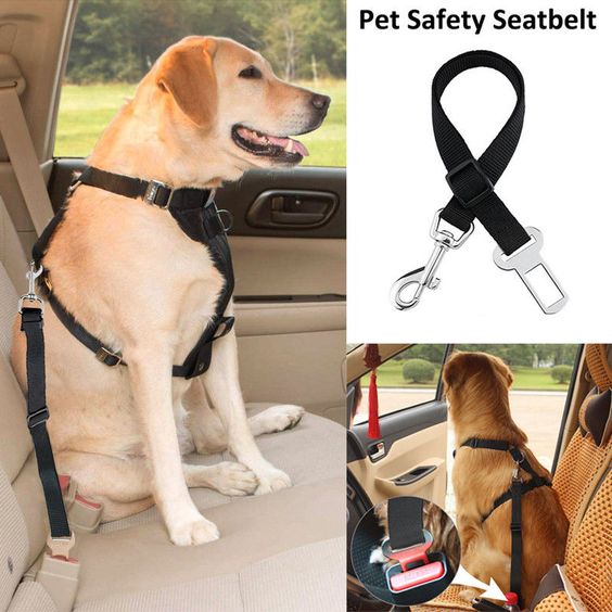 Dog Seat Belt - Crash Tested Safety Dog Car Harness