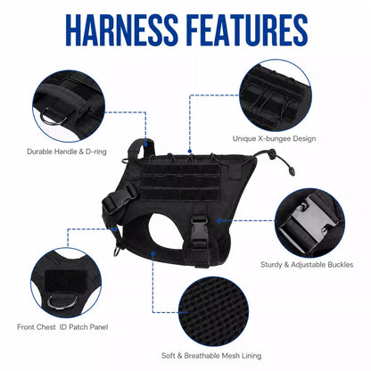 Durable no pull dog harness featuring all-metal buckles and reinforced stitching