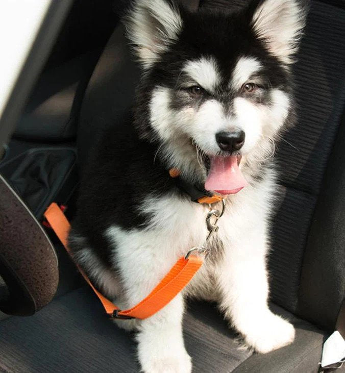 Dog Car Seat Belt - Crash Tested Safety Dog Seat Belt