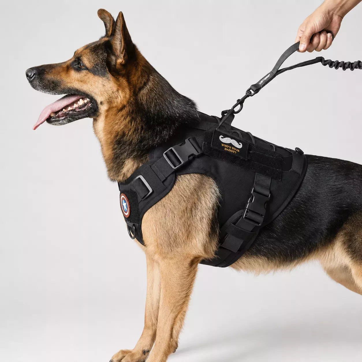 A German Shepherd wearing a black heavy-duty tactical dog harness with adjustable straps, metal buckles, and MOLLE webbing