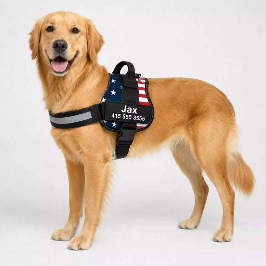 Close-up of dog harness showing custom name printed on the Velcro ID panel