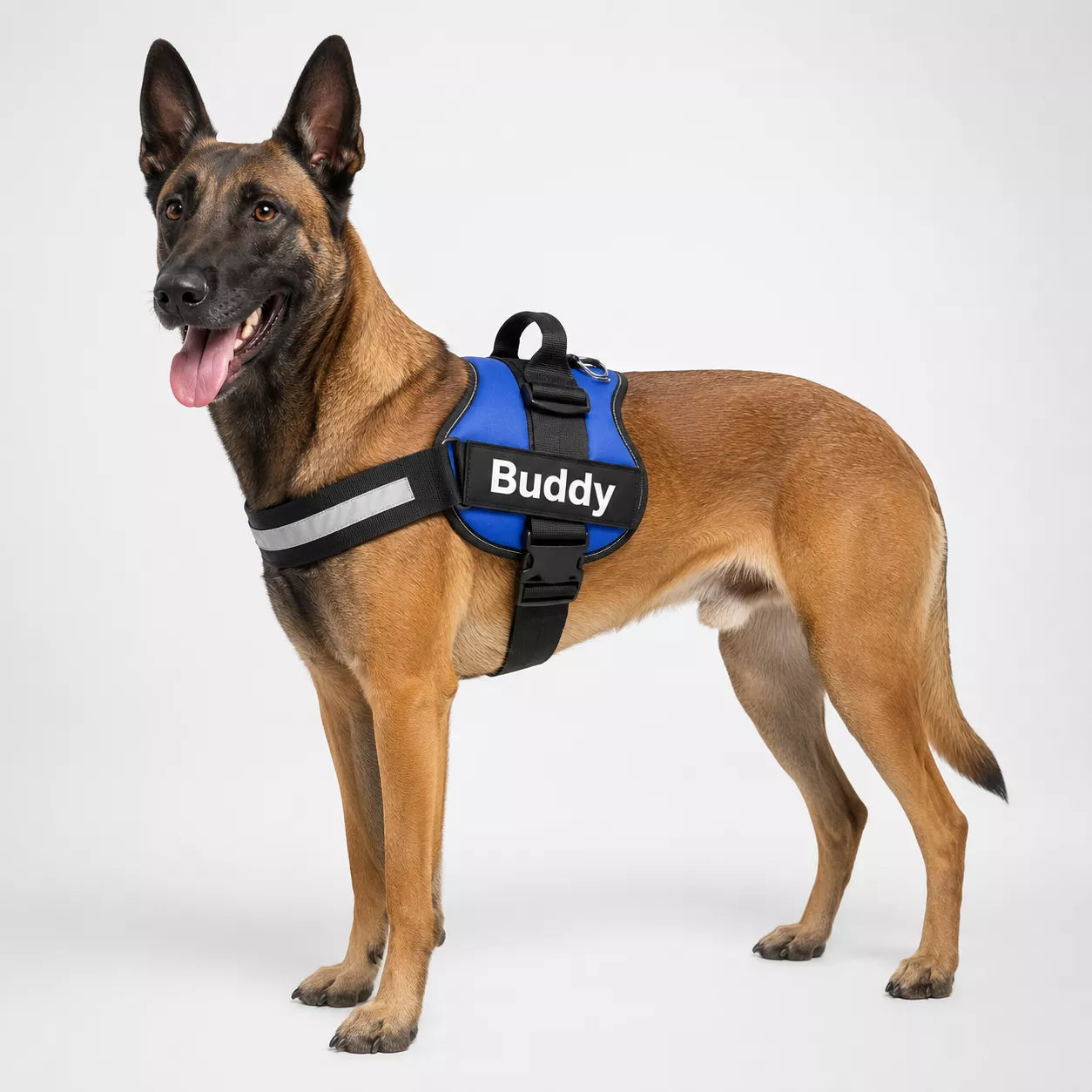 Dog harness with printed name panel and adjustable chest and belly strap