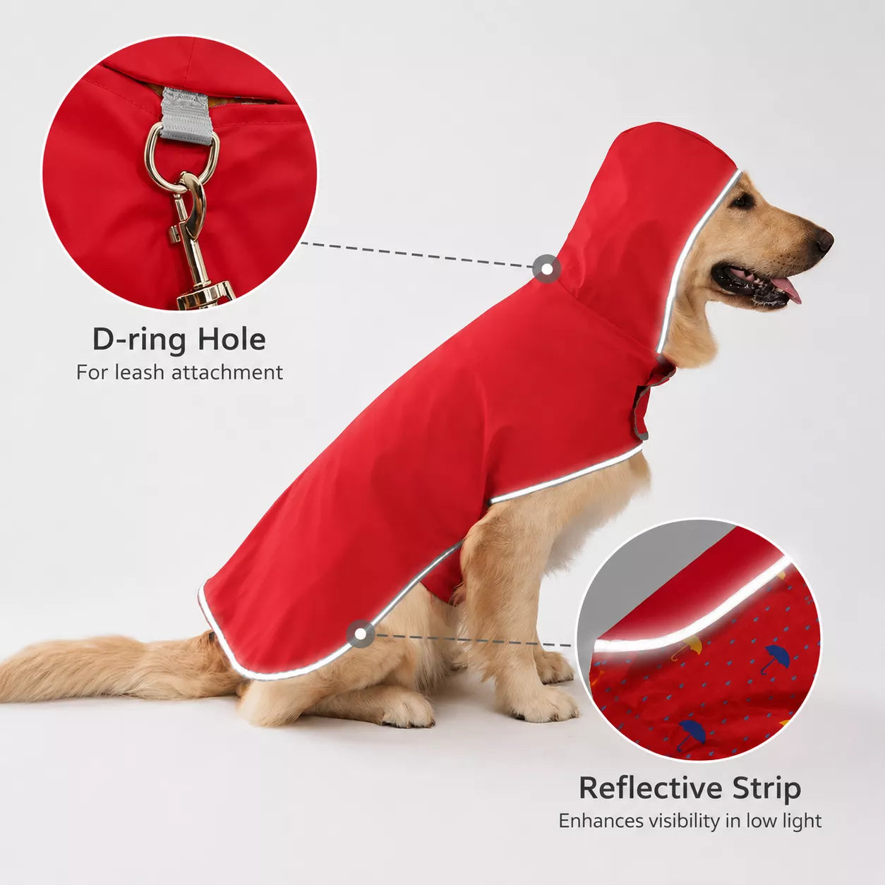Close-up a golden retriever wearing a  reversible dog raincoat showing callouts highlighting a D-ring hole for leash attachment and a reflective strip.