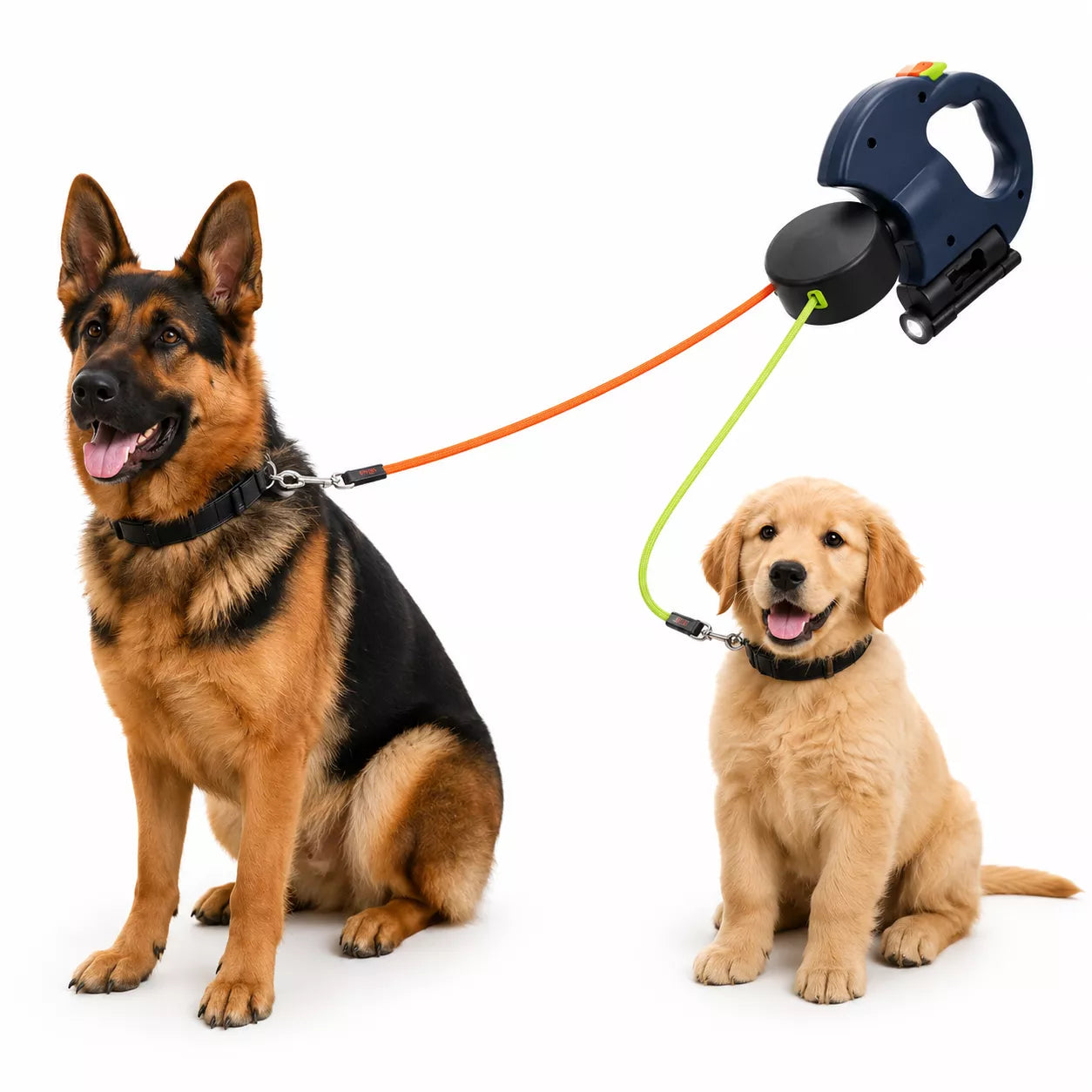 Retractable double dog leash with color-coded independent locking buttons