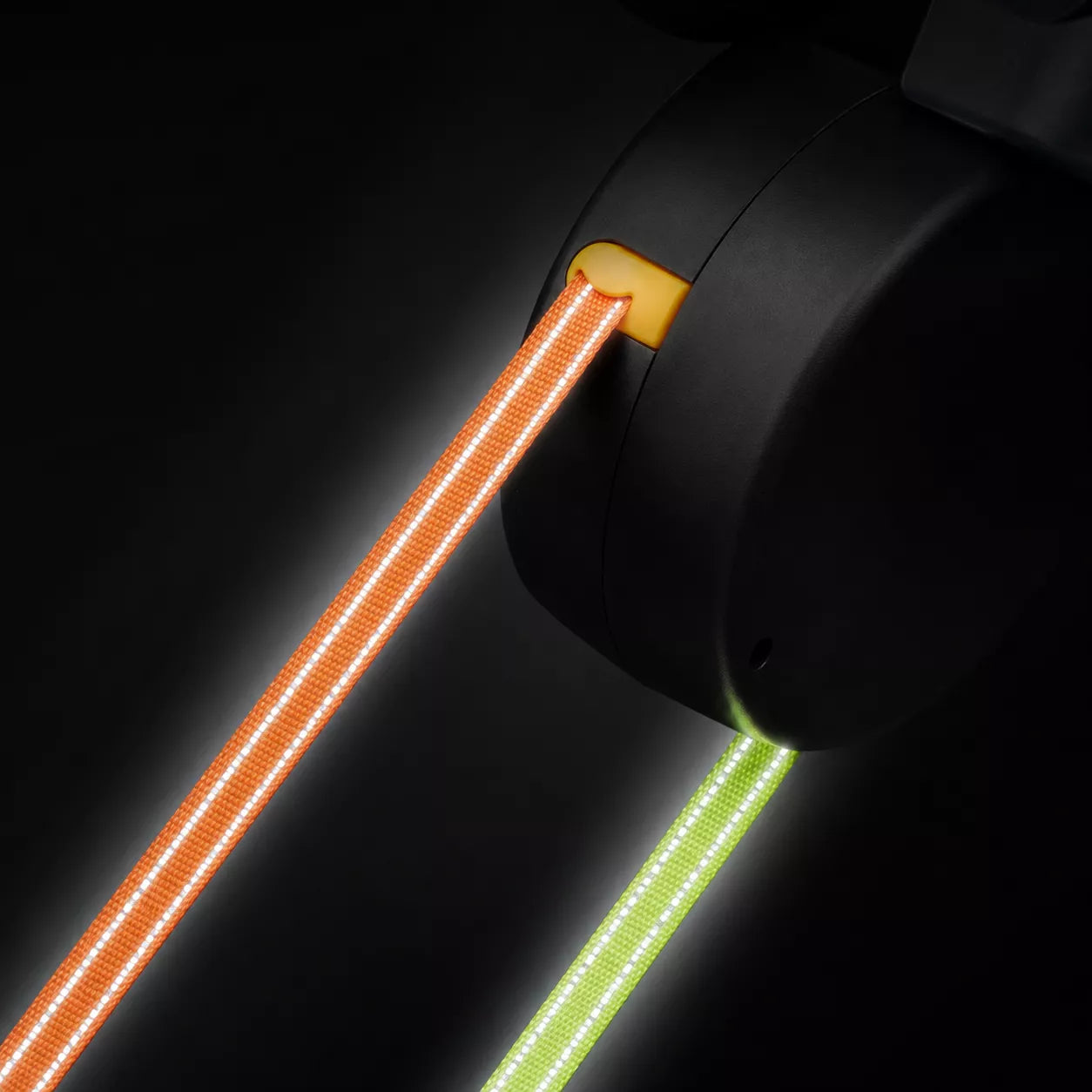 Double dog leash with built-in LED light and refective leads for improved visibility during night walks
