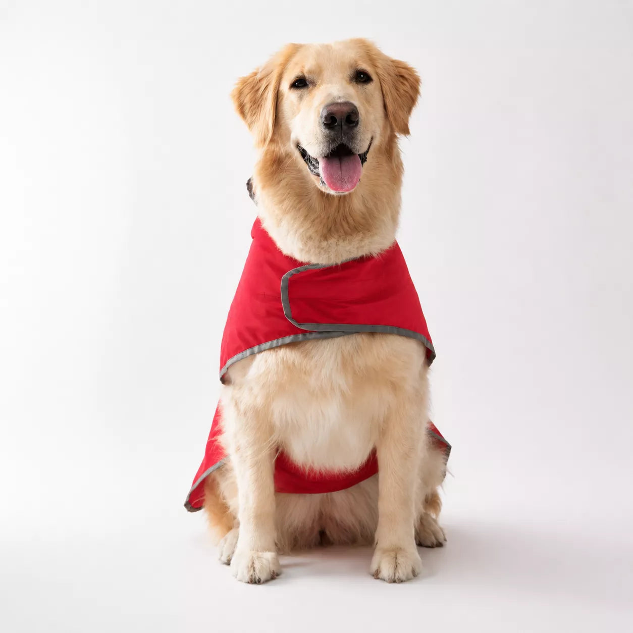 Reflective waterproof dog raincoat with adjustable straps for outdoor adventures