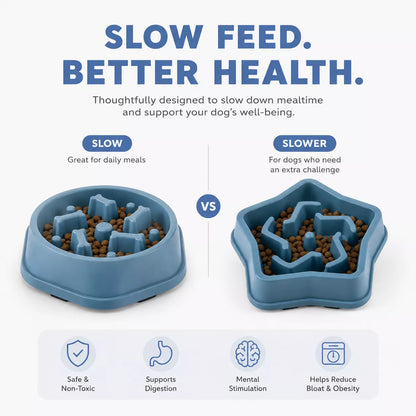 Puzzle dog bowl showing raised slow feeding sections
