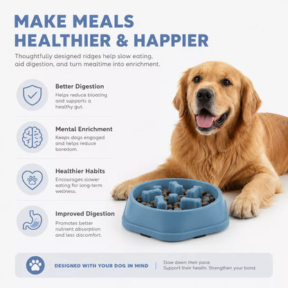 A golden retriever lies beside a blue slow-feeding dog bowl on a light gray background with text explaining benefits such as better digestion, mental enrichment, healthier habits, and improved digestion.