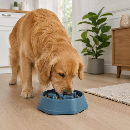 Dog eating from a slow feeder dog bowl