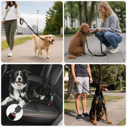Heavy-duty tactical dog leash used for training and walking a large dog outdoors.