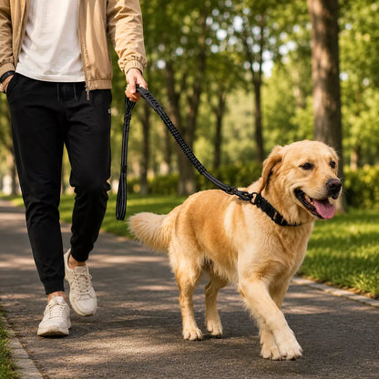 Tactical dog leash with a shock-absorbing bungee section that reduces sudden pulling.