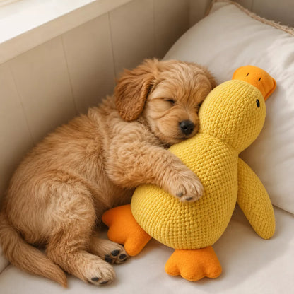 Duck Toy for Dogs - Quacking Plush Duck Dog Toy