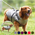 Dog dressed in a stylish rainproof dog jacket during a drizzly day outdoors
