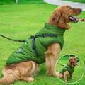 Dog wearing Green Dog Raincoat 