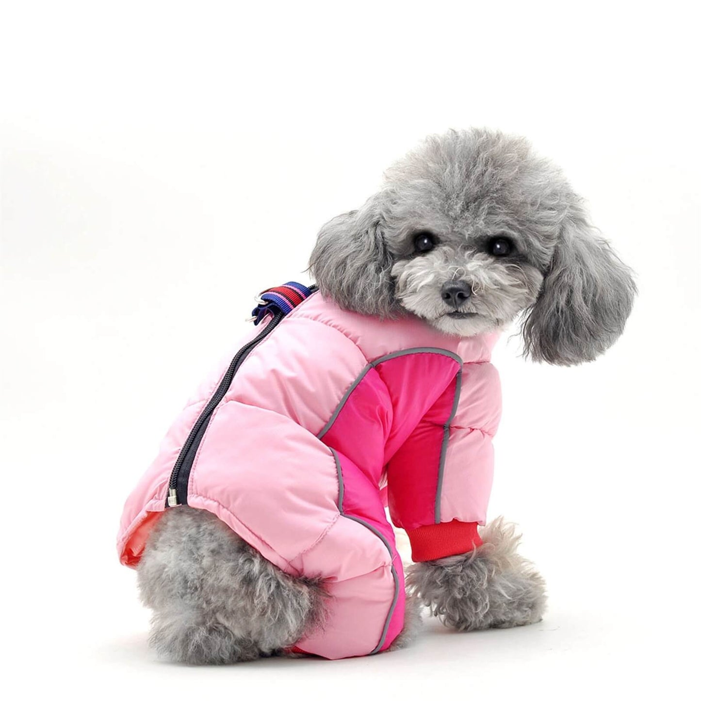 Dog Winter Coat - Full-length Dog Snowsuit, Warm Dog Jacket