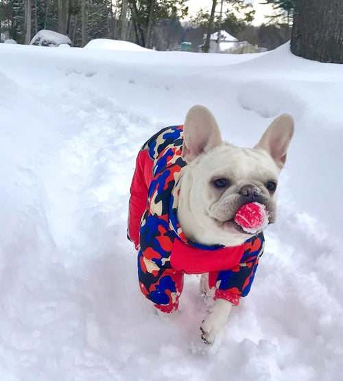 Dog Winter Coat - Full-length Dog Snowsuit, Warm Dog Jacket