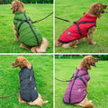 Golden retriever in a waterproof raincoat available in 6 colorways